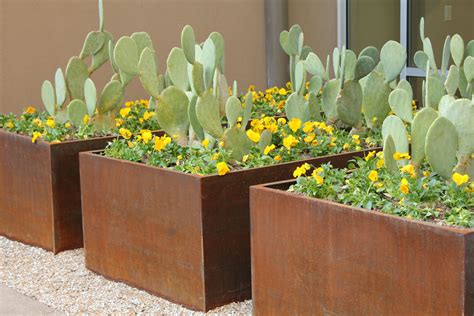 modern planting for metal box|modern metal planters.